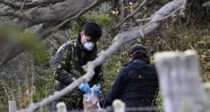 Rastreando Hantavírus na Argentina: primeiros roedores capturados em Ushuaïa