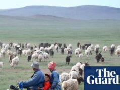 O pasto mais verde da vida de um pastor atrai trabalhadores chineses com ‘996’ empregos | chinês