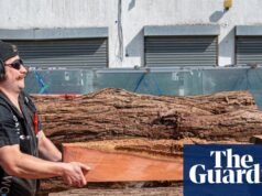 ‘É como Dunquerque para a indústria da construção!’ Pequena equipe salva valiosos materiais de construção de Londres | arte e design
