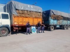 Chaco: Mais de 7 toneladas de sementes e fardos de alfafa apreendidos