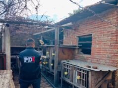 Eles detonam um centro de microtráfico em Villa Hippodromo com cocaína e dinheiro