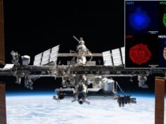 O voo espacial é difícil para o coração, mas corações artificiais crescem melhor no espaço do que na Terra