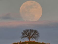Como capturar o nascer perfeito da lua cheia – bem a tempo para o Blue Moon Show de 30 de maio