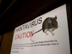 Surto de hantavírus em navio de cruzeiro mata três