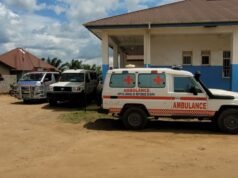 O que a emergência global do Ebola significa para os americanos