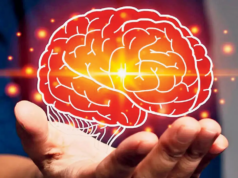 Dispositivos impressos imitam sinais de neurônios reais, abrindo novas possibilidades na neurociência