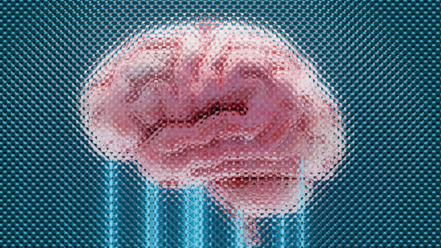 Brain-1778253978163_d.png