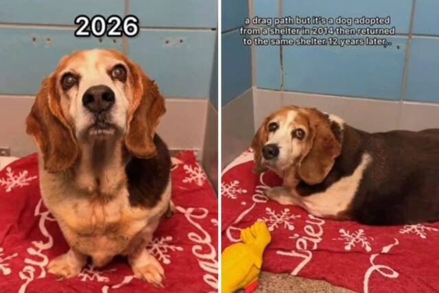 Copy-of-32-Split-Screen-30.jpg