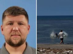 Quem é Igor Litvinchuk? Turista acusado de atirar pedras em foca ameaçada de extinção