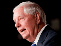As chances de Lindsey Graham vencer a corrida para o Senado da Carolina do Sul