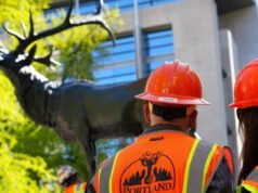 A rua foi fechada depois que um acidente de caminhão danificou a Fonte Thompson Elk