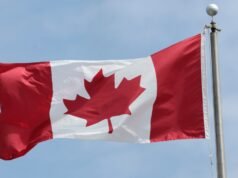 Esta cidade canadense merece ser a próxima equipe de expansão da MLB