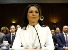 Quem é Tulsi Gabbard? 5 coisas que você deve saber sobre o antigo DNI – vida em Hollywood