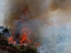 Mapa de risco de incêndios florestais nos EUA mostra áreas de maior risco neste verão