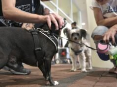 Os donos de cães nesta cidade costeira do Oregon foram alertados sobre um vírus “altamente contagioso e mortal”