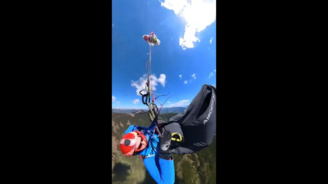 Paraglidingaustria-1779707422791_d.png