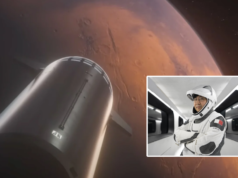 O bilionário da criptomoeda voará com a primeira nave privada da SpaceX para Marte, mas quando?