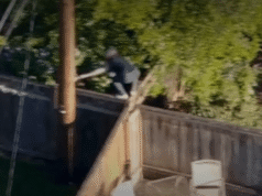 VÍDEO: Suspeito de agressor sexual em Beaverton é levado sob custódia após pular cercas e se esconder em uma garagem