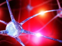 Cientistas descobrem deficiências ocultas de nutrientes no cérebro que podem alimentar a ansiedade