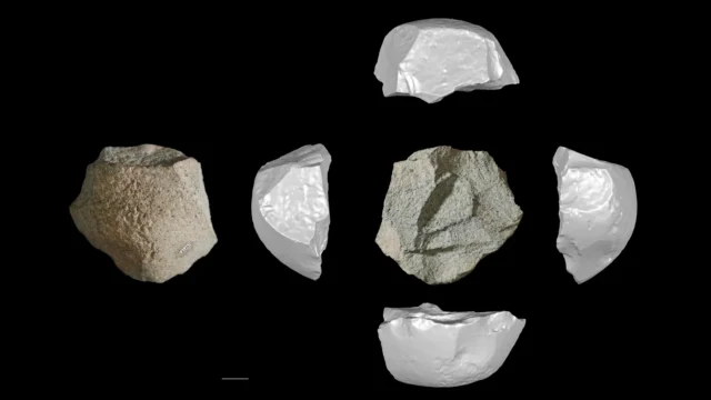 ancient-stone-tools-lingjing.webp.webp