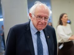Sanders usou fundos de doadores para a Netflix, apesar das críticas à empresa