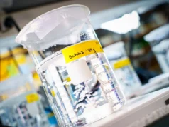 Biomaterial inovador cura tecidos de dentro para fora