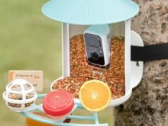 O alimentador inteligente de pássaros Birdfy atingiu seu melhor preço para o Dia das Mães