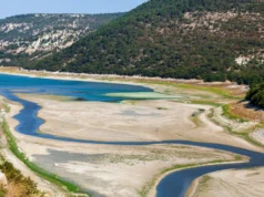 Cientistas alertam que rios do mundo estão prestes a ficar sem oxigênio