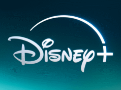 Bonnaroo e Lollapalooza estão transmitindo no Disney + e no Hulu