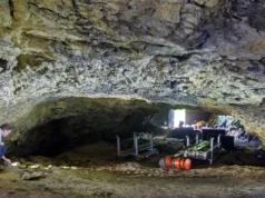 DNA antigo revela como as mulheres ajudaram a transformar a Europa pré-histórica
