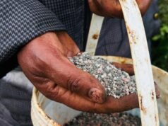 O mundo precisa da iniciativa de fertilizantes Hormuz agora