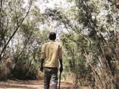 Uma semana após o ataque do tigre, o conselho da vida selvagem de Maharashtra aprova um plano de Rs 260 milhões para evitar conflitos entre humanos e animais selvagens | Notícias de Mumbai