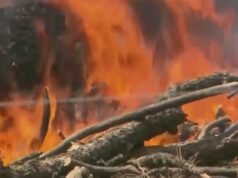 Autoridades dizem que o incêndio em Trout Creek perto de Sisters é causado pelo homem