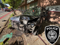 Motorista foi ejetado do carro em estado crítico após bater em poste: polícia de Gresham