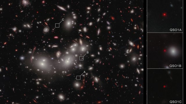 k4PMCgRSj469y69Licmqw5-1600-80.png