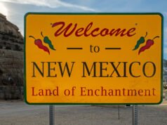 Meta disse que o aplicativo poderá ser retirado do Novo México se um juiz concordar com as exigências do estado.