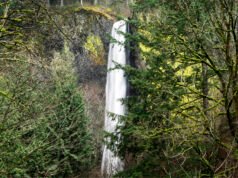 Funcionários da MultCo pediram segurança depois que um caminhante ficou ferido perto de Latourelle Falls