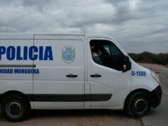 Choque em Bandera: homem de 91 anos morre após ser atacado por abelhas