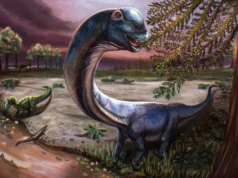 Cientistas descobrem o dinossauro gigante ‘Último Titã’, o maior de todos os tempos no Sudeste Asiático