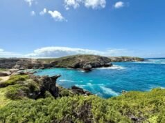 Homem australiano morto em ataque de tubarão em Horseshoe Reef, perto da Ilha Rottnest