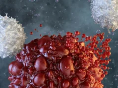 Cientistas estimulam células assassinas naturais para combater o câncer agressivo