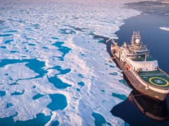 O Oceano Ártico passou de um ponto crítico e os cientistas dizem que talvez nunca se recupere
