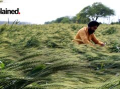 Agricultores com 1 hectare podem abrir homestays