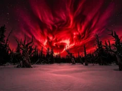 Tempestade solar mortal de ‘céu vermelho’ de 800 anos atrás descoberta em árvore antiga