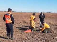 Eles resgataram Mangwaju ferido com uma perna dianteira fraturada