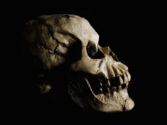 Impressionante descoberta de fósseis na Etiópia reescreve as origens humanas