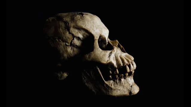 side-view-ancient-human-skull.webp.webp