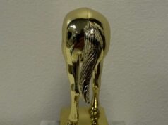 Eis o troféu idiota de Elon Musk