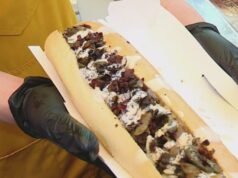 Kohr explora: Servindo cães por uma boa causa