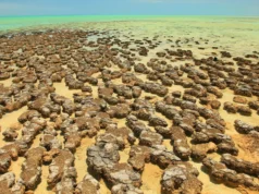 Antigas crateras de asteróides podem ter inspirado vida produtora de oxigênio na Terra